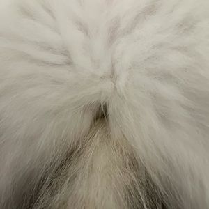 Meet your Posher, Randi